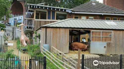 Ouseburn Farm Charity Ltd