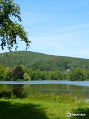 Fürstlich Greizer Park Furstlich Greizer Park