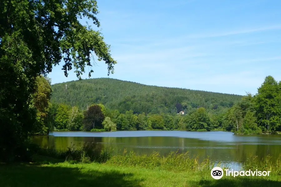 Fürstlich Greizer Park Furstlich Greizer Park