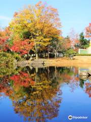 Murasakishikibu Park