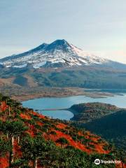 Parque Nacional Conguillio