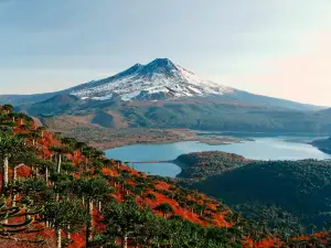 Conguillío National Park