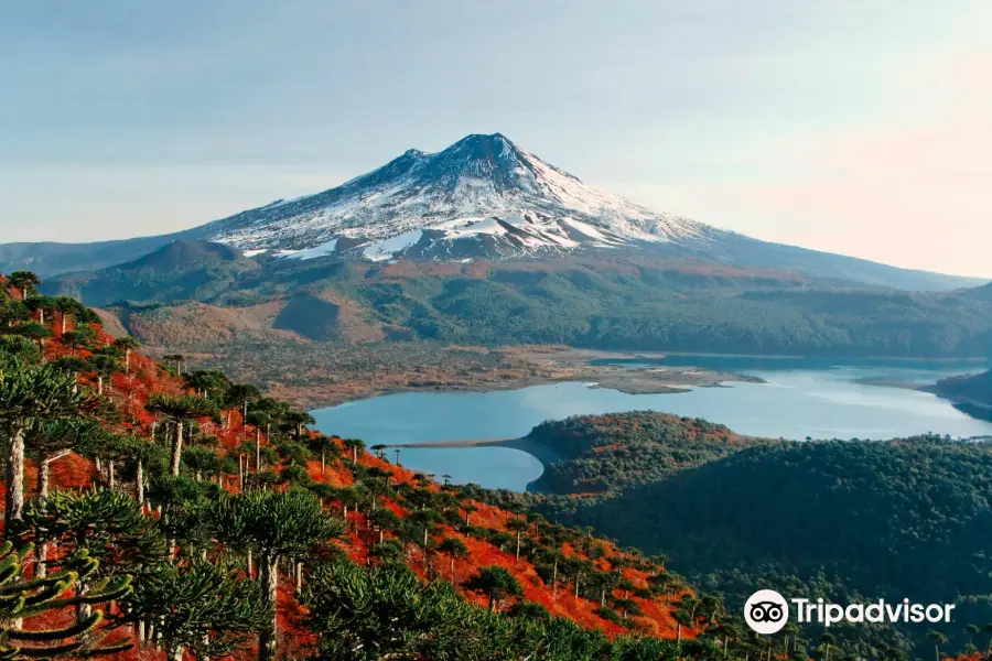 Conguillío National Park