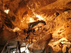 Lamprechtshöhle