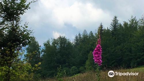 Park Krajobrazowy Beskidu Slaskiego/Beskid Slaski landscape park