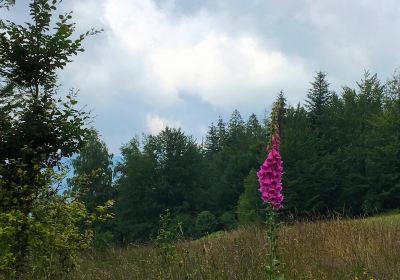 Park Krajobrazowy Beskidu Śląskiego/Beskid Śląski landscape park