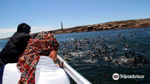 Isla de Lobos