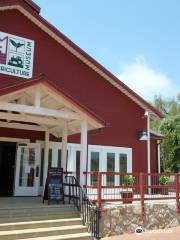 Museum of Ventura County’s Agriculture Museum