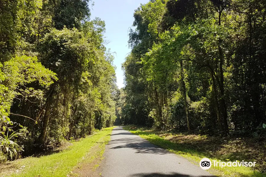 Tooloom National Park