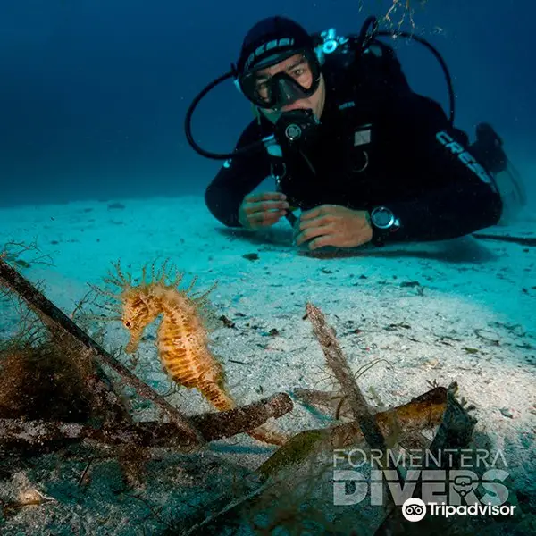 FORMENTERA DIVERS