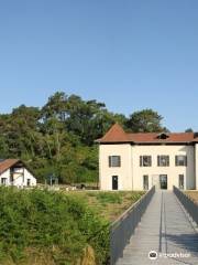 Natural reserve of Marais d'Orx