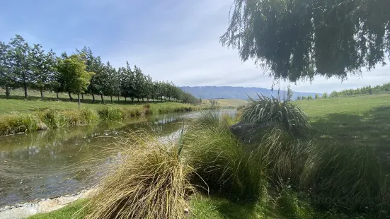 The Cloudy Bay Shed