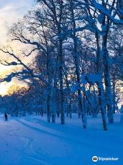 留壽都滑雪場