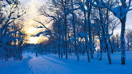 留壽都滑雪場