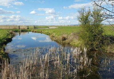 Northward Hill Nature Reserve