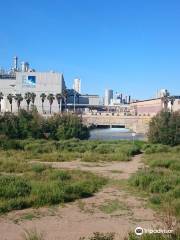 Parc Fluvial del Besos