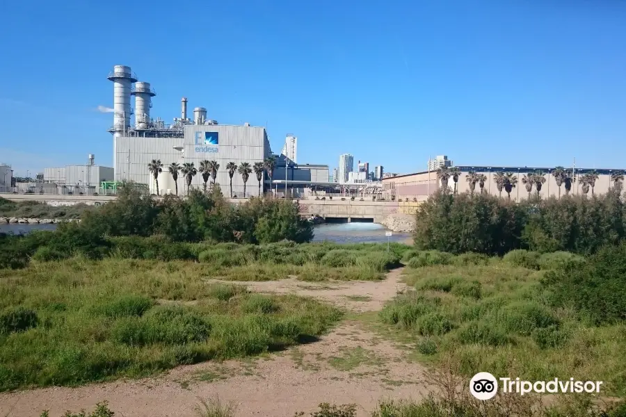 Parc Fluvial del Besos