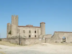 Le chateau d'Essalois