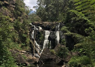 Steavenson Falls