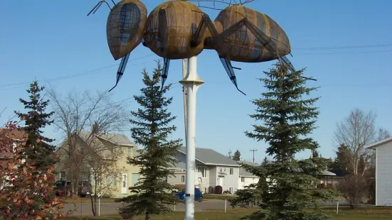 Worlds Largest Bee