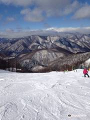 Nomugi Toge Ski Resort