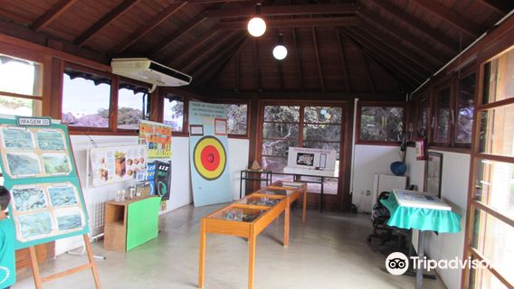 Museum of Minerals and Rocks