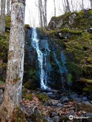 Rogart Mountain Trail