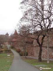 Heilkrautergarten am Hallertor