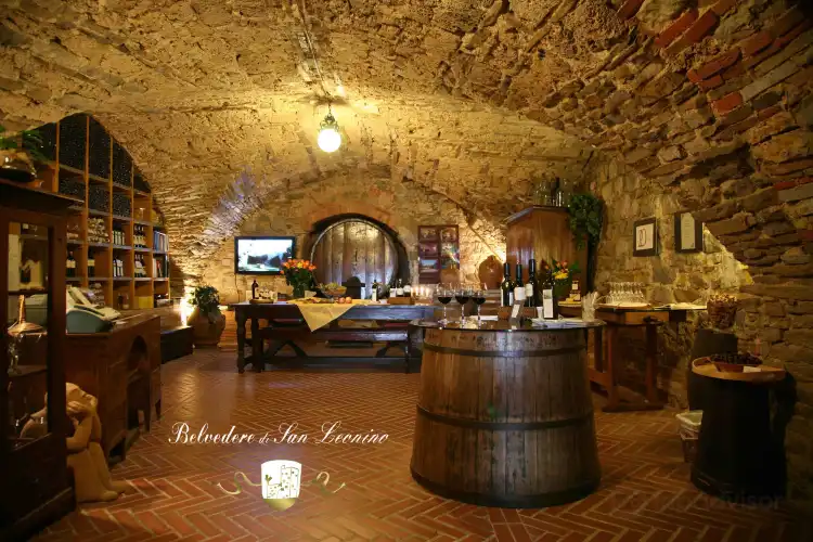 Hotels in Castellina in Chianti