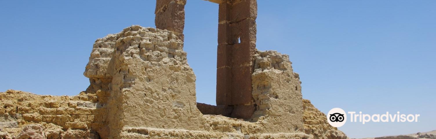 알 파이움데이 투어