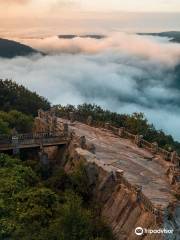 쿠퍼스 록 주립산림공원