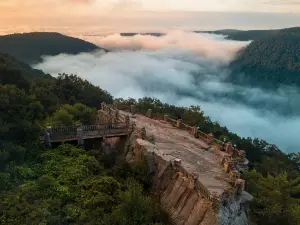 쿠퍼스 록 주립산림공원