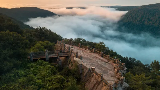 쿠퍼스 록 주립산림공원