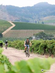 Bikes 'n Wines