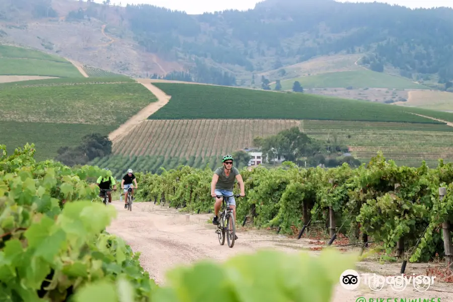 Bikes 'n Wines