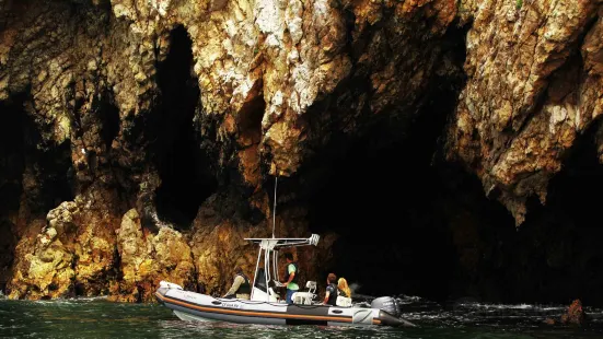 Avila Beach Boat Charters