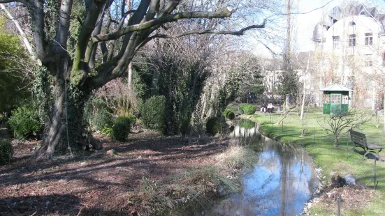 Parc Elfenau