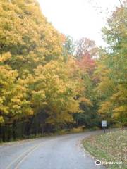 Raccoon Lake State Recreation Area