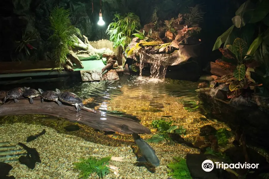 聖安德魯斯水族館