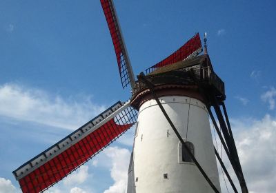 Hovaere Windmill
