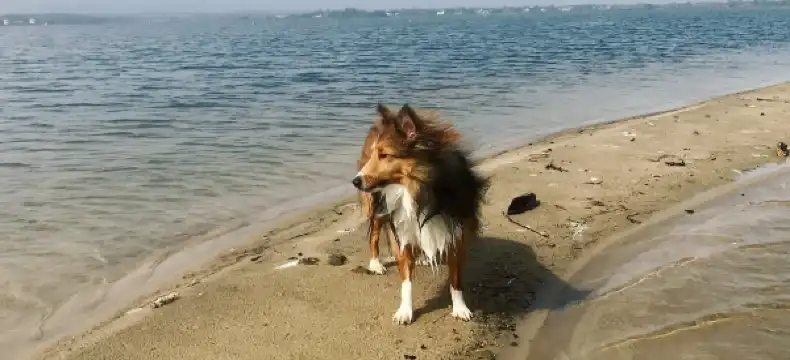 Hotels in Bridgehampton