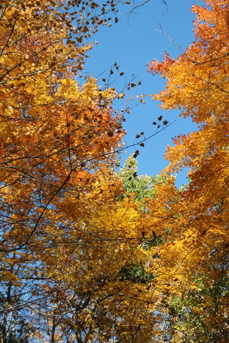 Hotels in Suamico