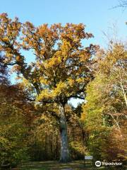 Le Bois - Parcours Nature