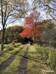 Catskill Scenic Trail