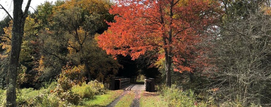 Catskill Scenic Trail