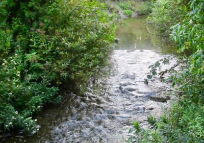 Cobourg Conservation Area