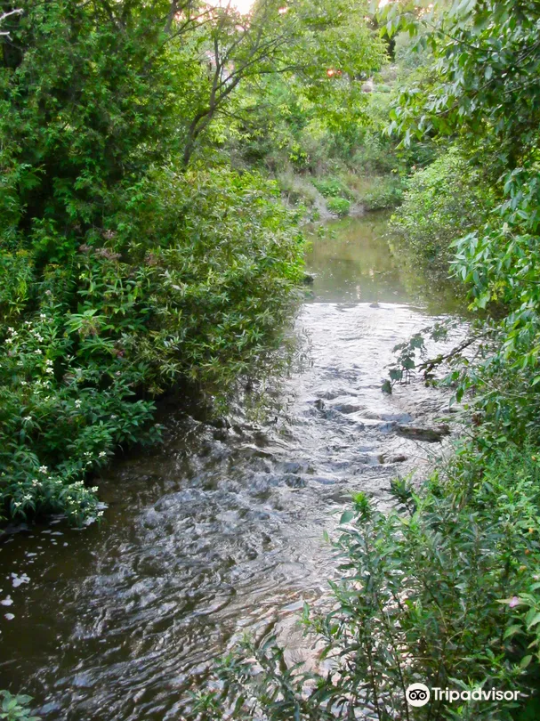 2_Cobourg Conservation Area