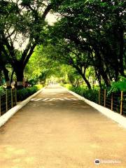 Guindy National Park