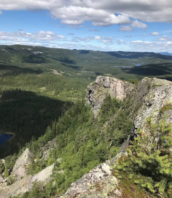 Lyngdal i Numedal