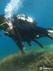 Fun Dive Club - Diving Croatia